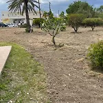 Agia Paraskevi Ялиссос
